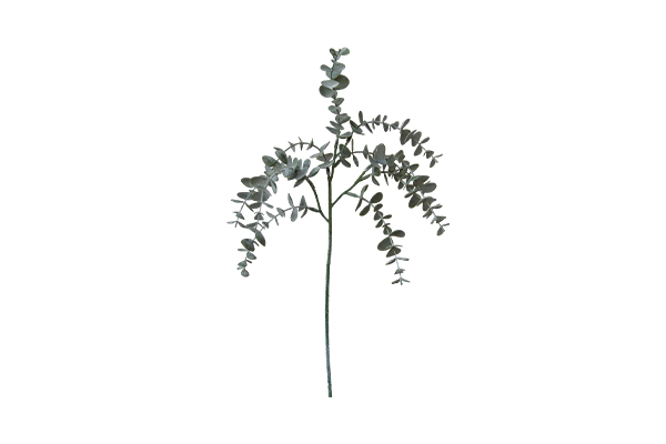 Single Branch 10 Nodes 10 Layers Of Eucalyptus Dark Green Frosted (White Hair Pulp, Fluffy)