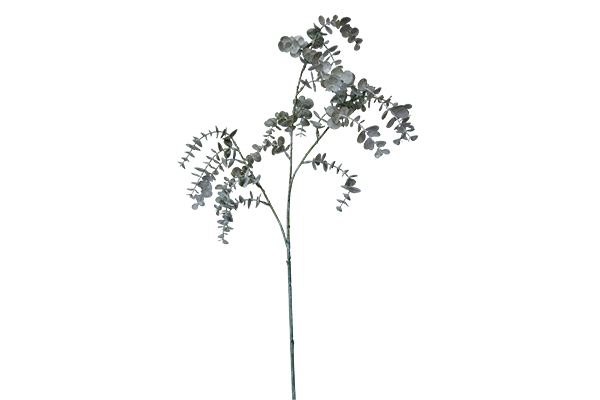 How does eucalyptus dark green frost show the beauty of nature with environmentally friendly plastic materials?